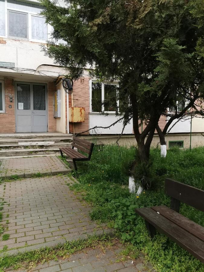 Apartament Asr Piatra Neamt Ngoại thất bức ảnh